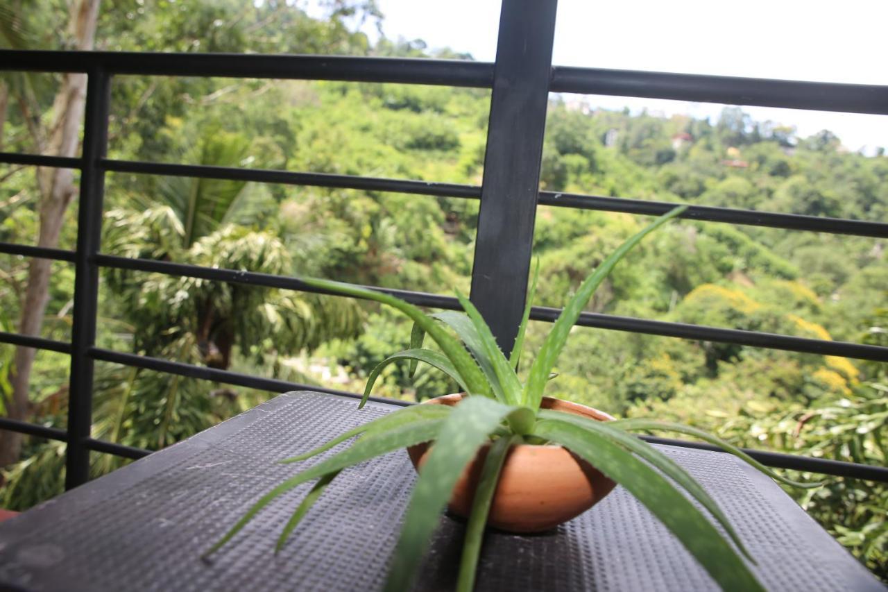 Rawana Mountain View Homestay Ела Екстериор снимка